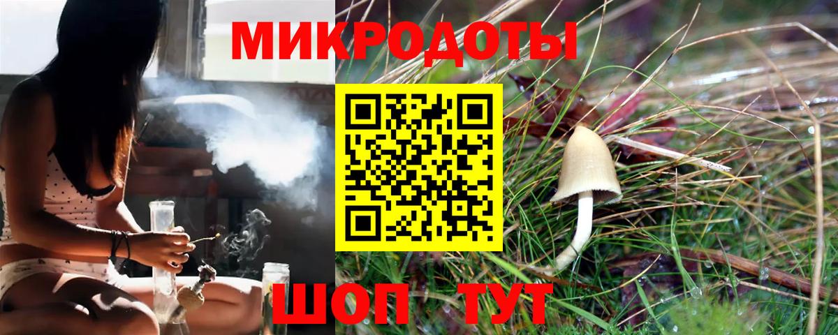 Киселёвск  Галлюциногенные грибы Psilocybine cubensis  Вход с VPN 
