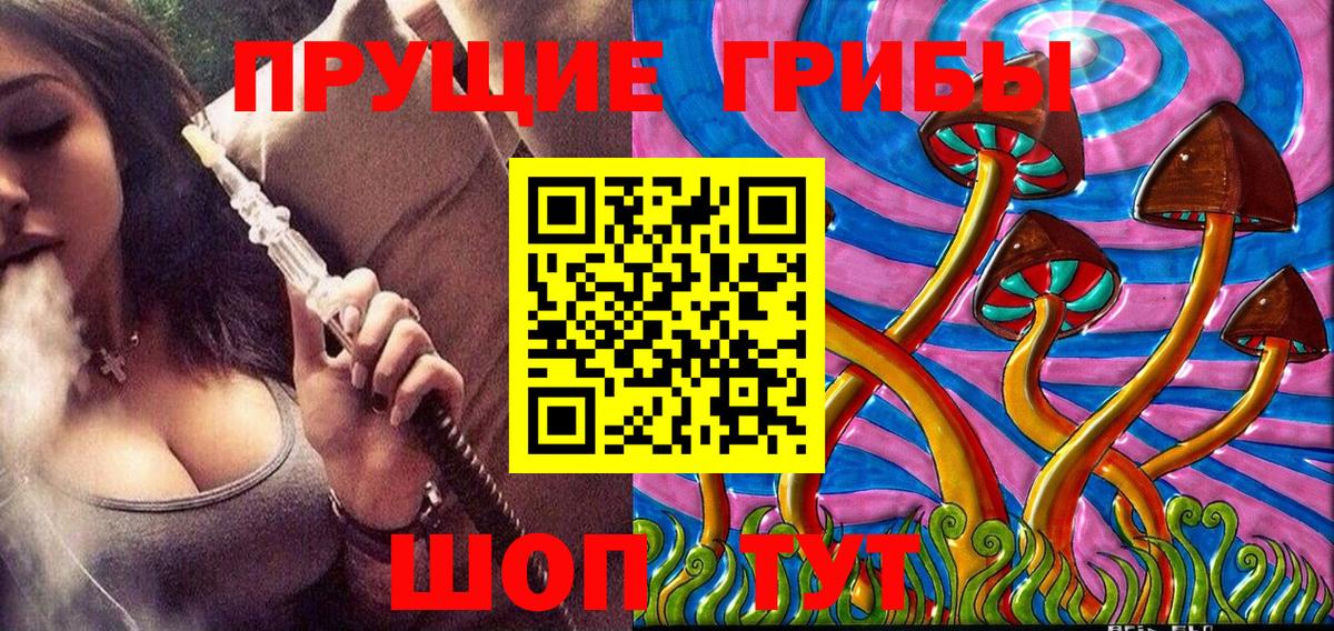Псилоцибиновые грибы MAGIC MUSHROOMS Киселёвск