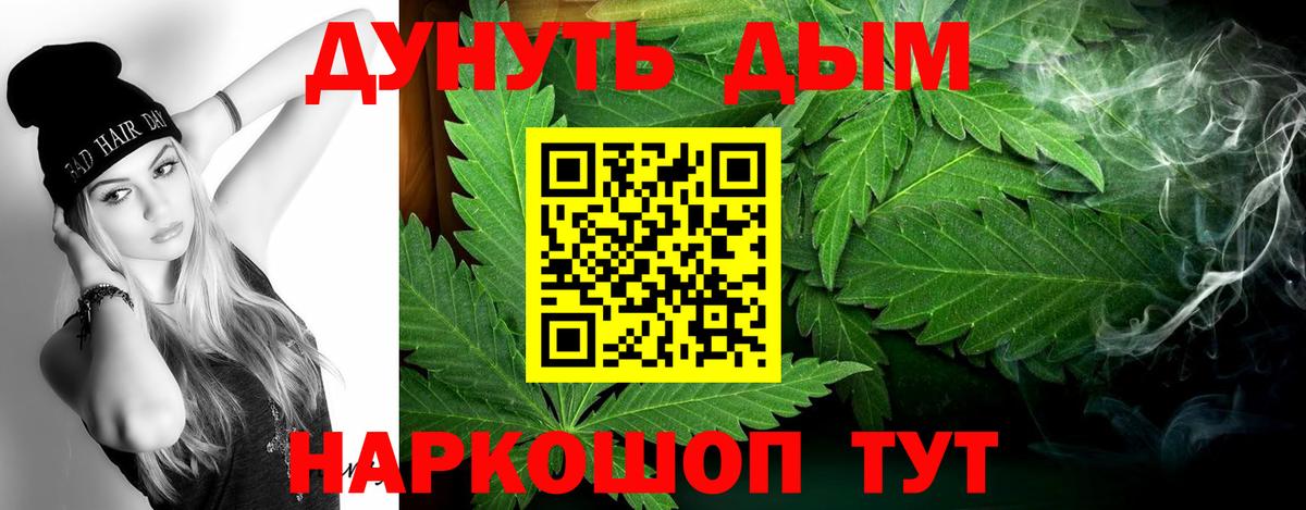Бошки Шишки гибрид Киселёвск